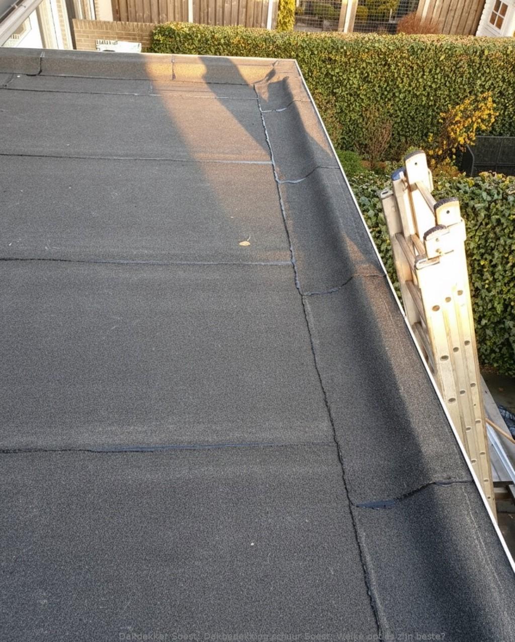 Dakbedekking Schuur Soest 1