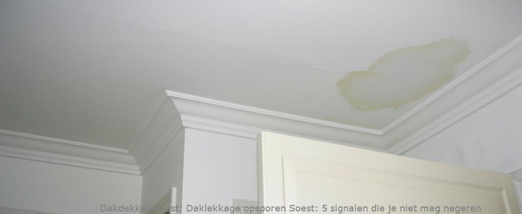 Daklekkage Opsporen Soest 1