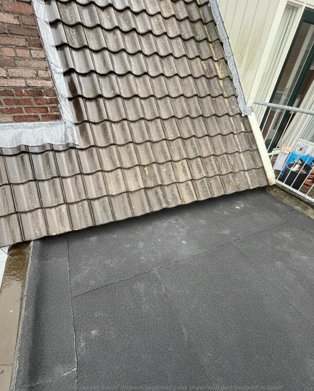 Onderhoud Dak Soest