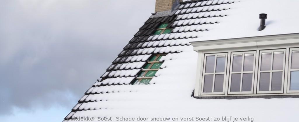 Schade Door Sneeuw En Vorst Soest