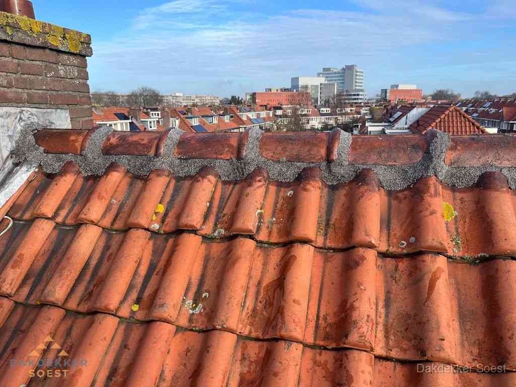 Soest Daken Renoveren
