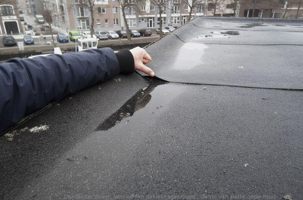 Voorkomen Daklekkages Soest